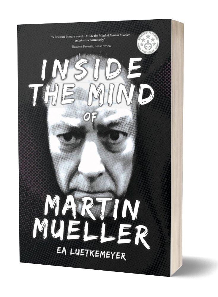 insideMM_cover3d_single