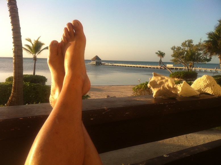 The writer plans his day…